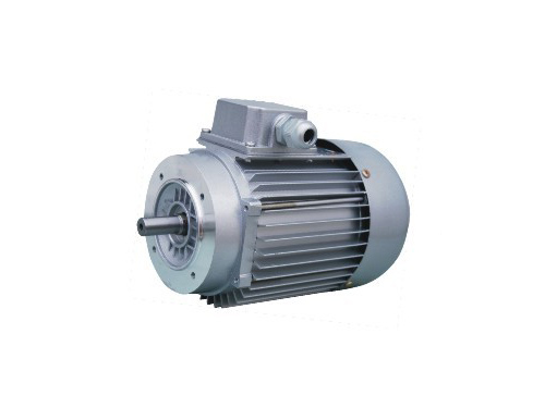 YS63系列三相異步電動(dòng)機(jī)